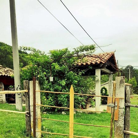 House Lana Apartment Krsan Bagian luar foto